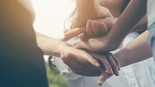 Scaling Climate Action and Nature-Based Solutions: From Intent to Impact