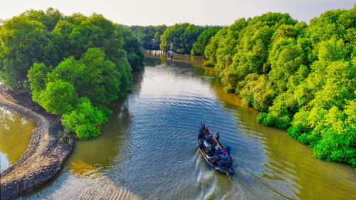 Roots of Resilience: Financing Mangroves for Climate and Community Impact