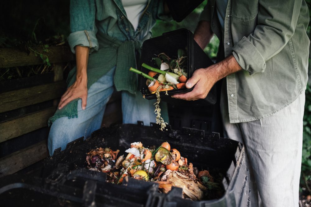 De-Risk & Scale: Blended-Finance Pathways for Climate-Smart Food & Agri-tech