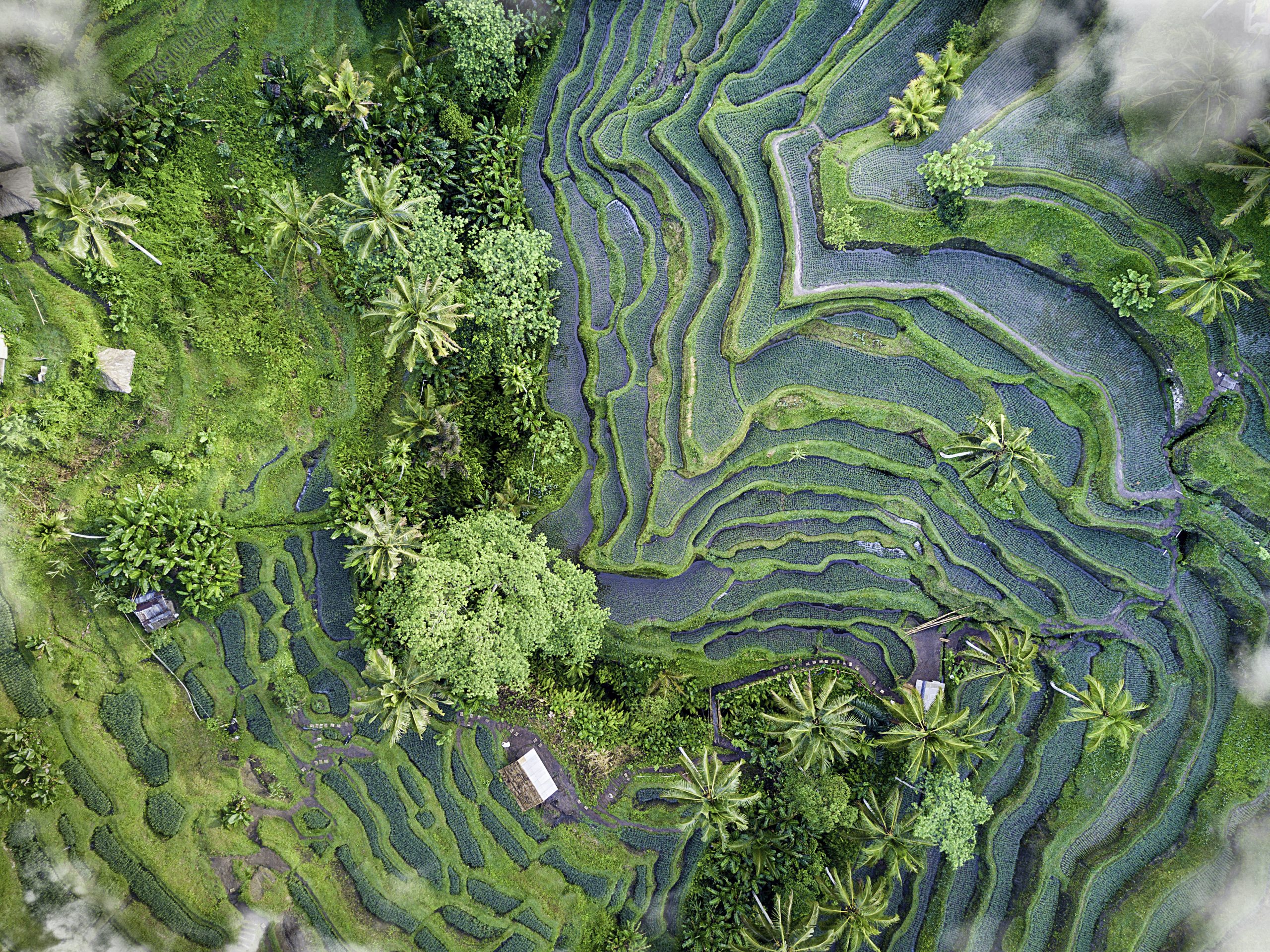 Power of the Narrative: Funding and Framing Impact Storytelling for a Fractured World